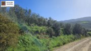 Kouses Kreta, Kouses: Baugrundstück 3.600 m² mit Baugenehmigung Grundstück kaufen